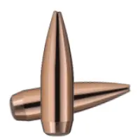 Střely RWS Scorion 7,62mm dia .308, 168grs, 2416966