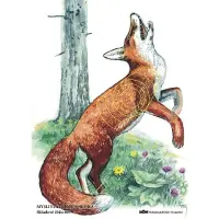 Jagdzielscheibe Fuchs