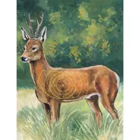 Myslivecký terč Srnec