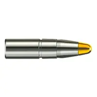 Bullets RWS EVO 8mm, dia .323, 200grs (13g), 2317411