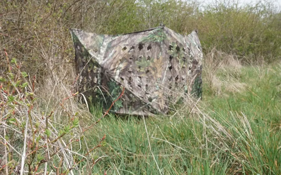 Když není kde se schovat