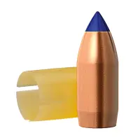 Monolitické střely Barnes 50 CAL (.451) 290grs TMZ BT