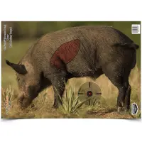 PREGAME BOAR TARGET 16.5" x 24", 3 Stk