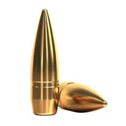 Bullets Sellier & Bellot caliber .30 Cal., diameter .308, weight 150grs/9,7g, bullet type FMJ, code 2954.