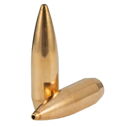 Bullets Sellier & Bellot caliber .30 Cal., diameter .308, weight 168grs/10,9g, bullet type HPBT, code 2880 (V338482).