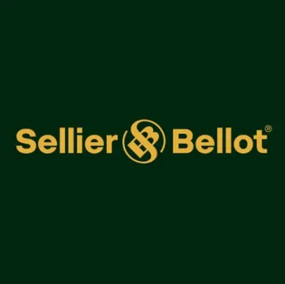 Bullets S&B caliber .45 AUTO, weight 230grs, TFMJ V319572
