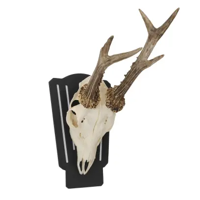 Steel Trophy Plaque – Roe